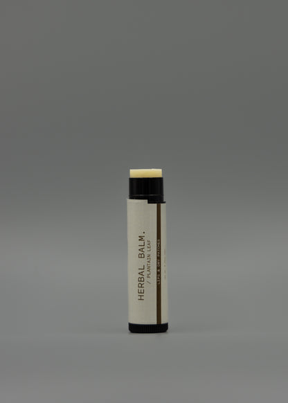 LIP BUTTER - plantain