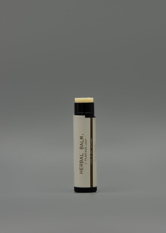Herbal Balm - Plantain